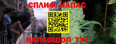 сатива Лесосибирск