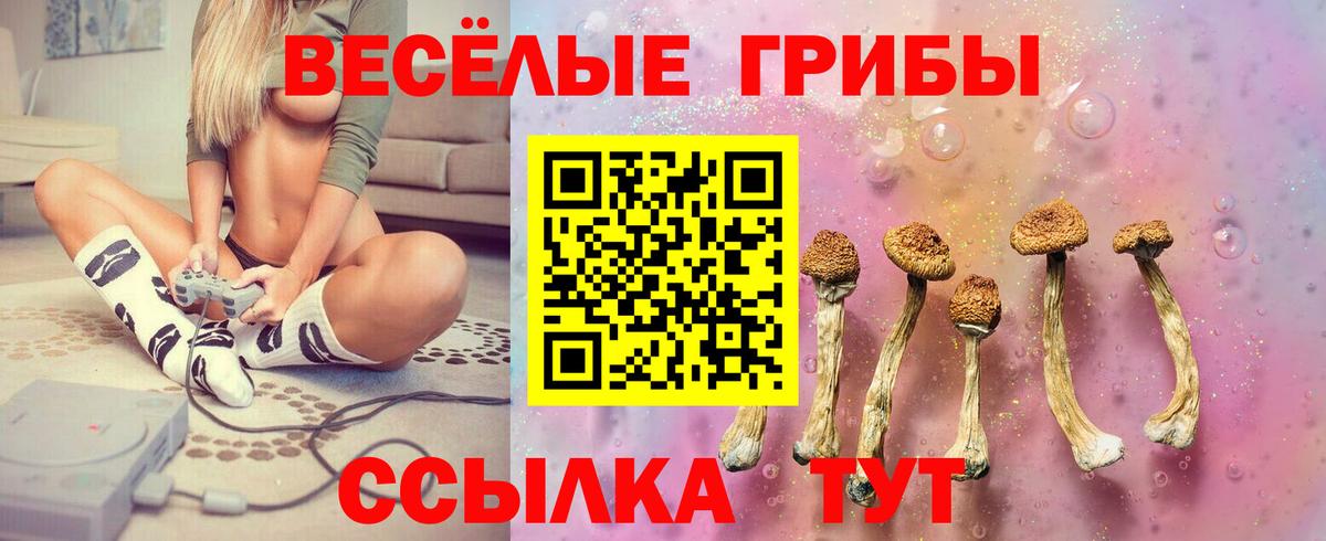 Псилоцибиновые грибы GOLDEN TEACHER Торжок