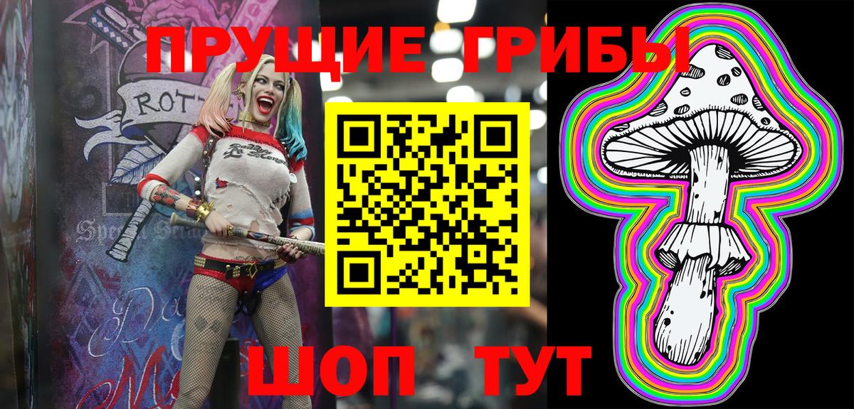 Торжок  Галлюциногенные грибы Psilocybine cubensis  Вход с VPN  Псилоцибиновые грибы ЛСД 